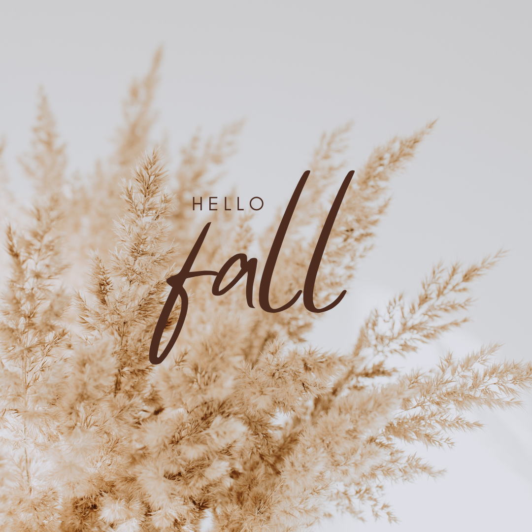 Fall Collection