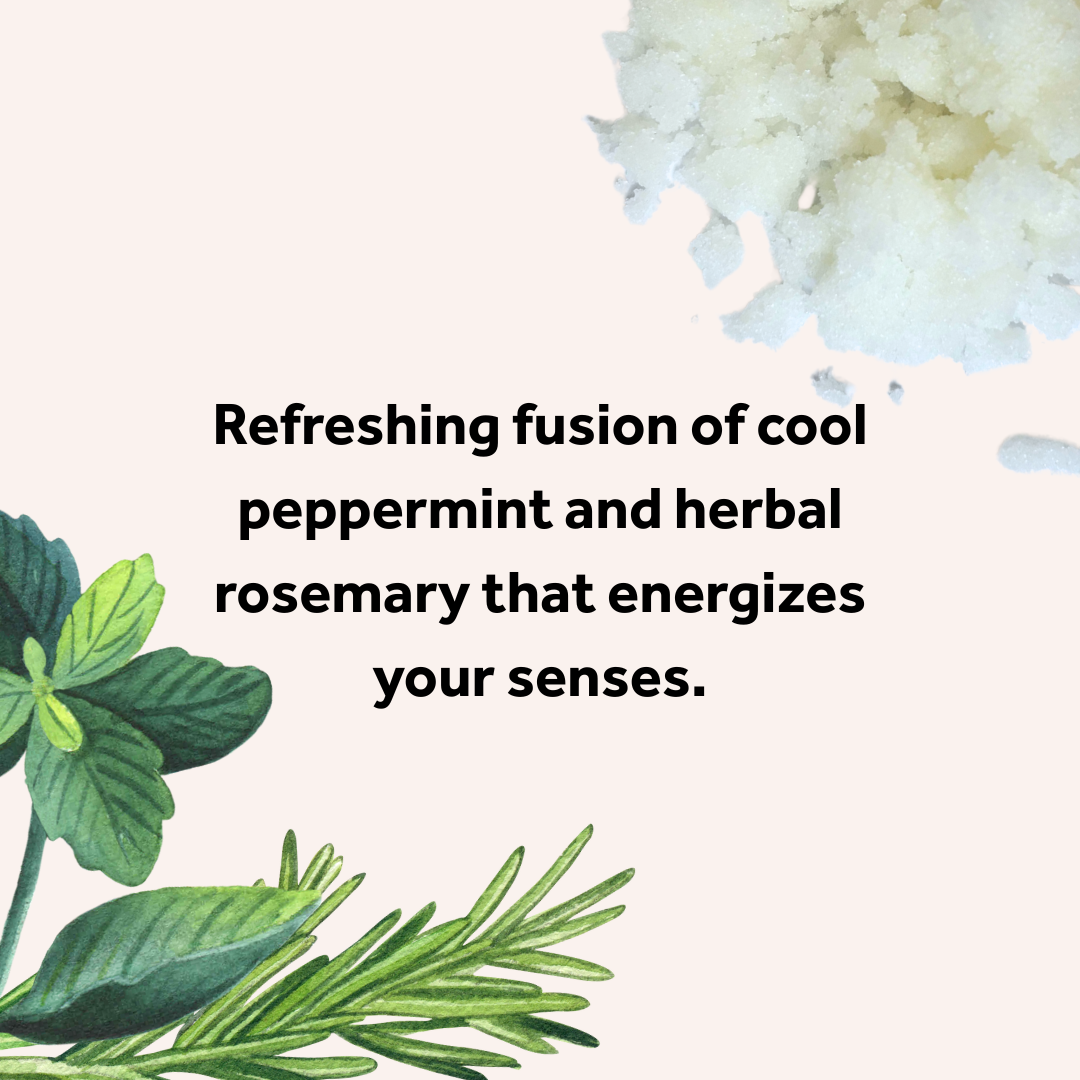 Text describing a refreshing fusion of peppermint and rosemary with botanical illustrations on a light background.