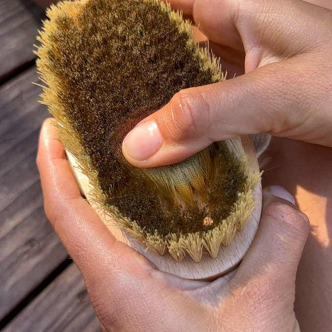 Copper Ionic Dry Brush for Smooth Skin