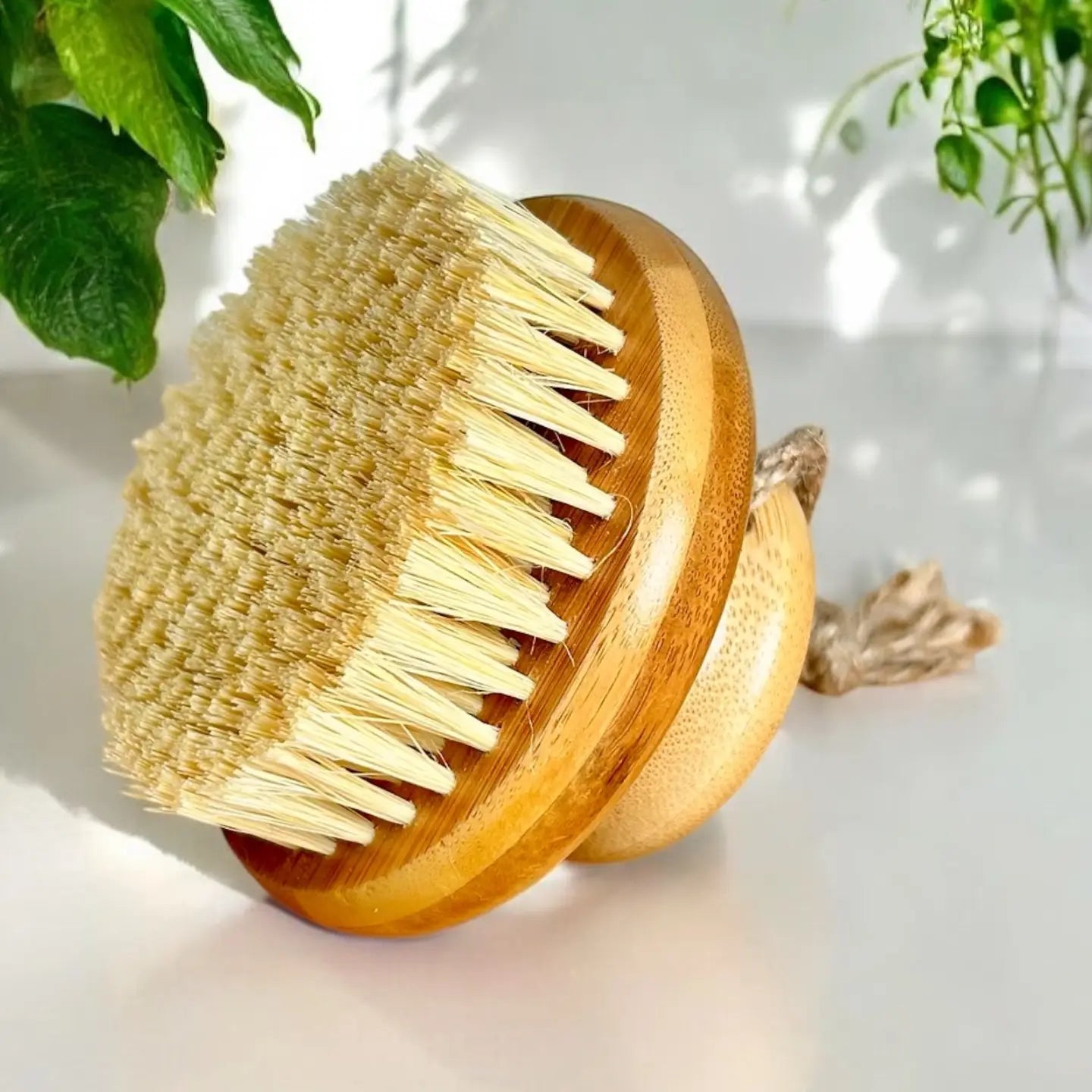 Wooden body brush with natural bristles on a light background