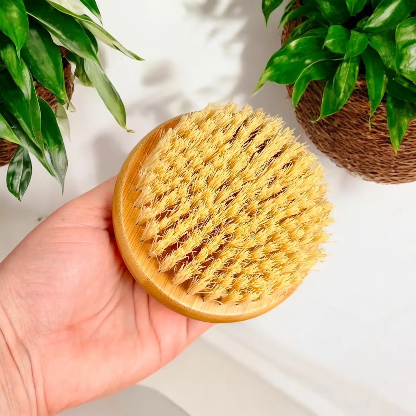 Hand holding a wooden brush with natural bristles against a light background with plants.