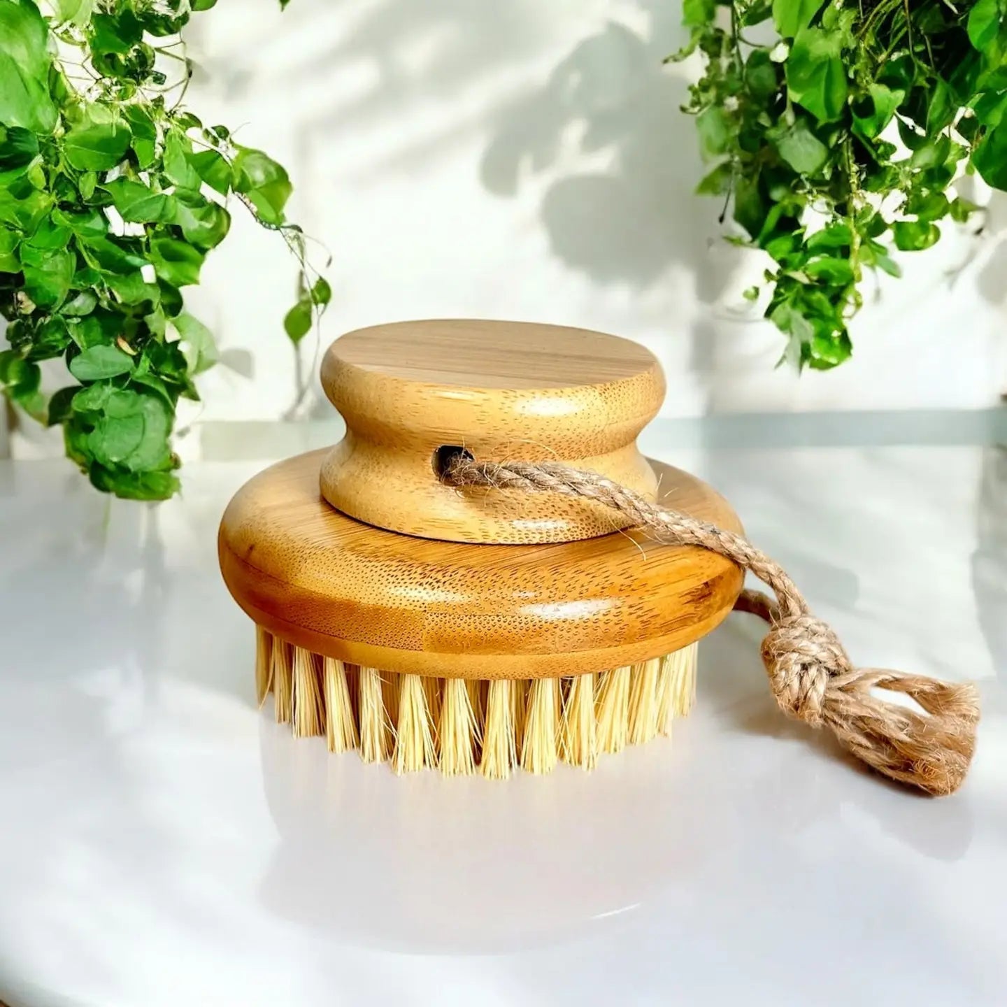 bamboo dry brush on a counter with plants in the background