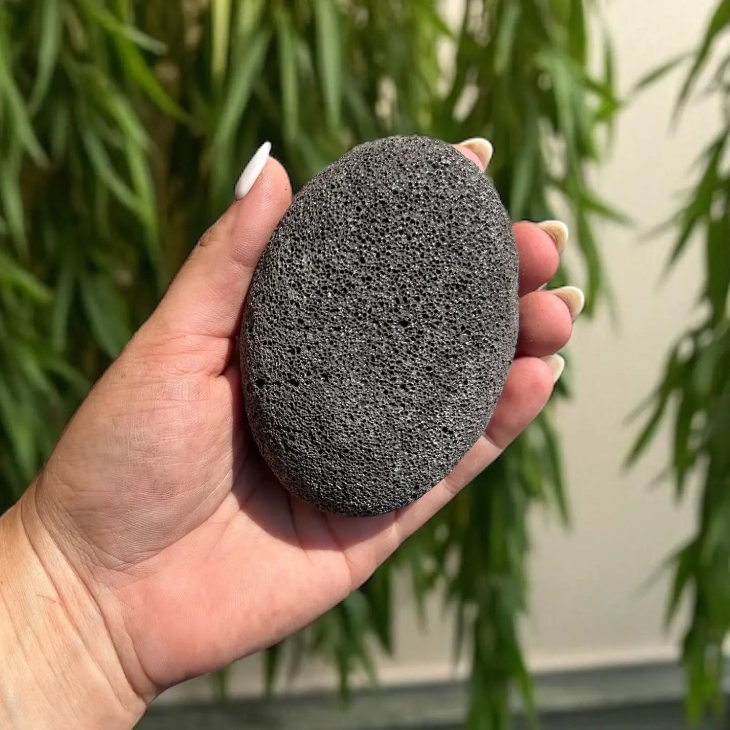 Black Foot Pumice Stone